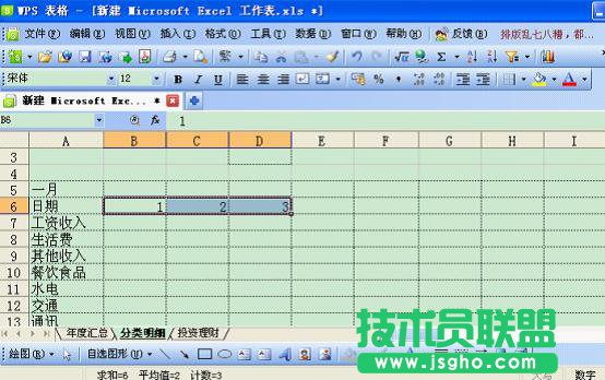 WPS表格技巧：如何打造個(gè)性化記賬本