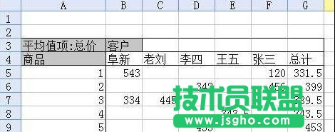 wps表格數(shù)據(jù)透析表要怎么制作