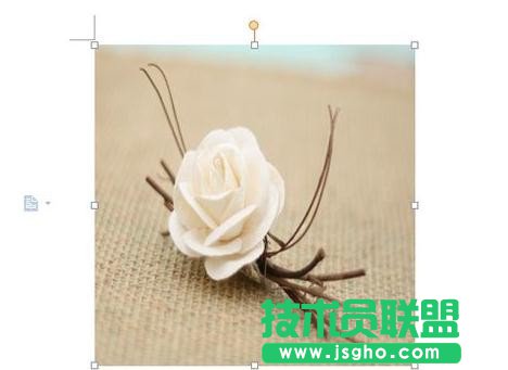 wps要怎樣調(diào)整圖片大小