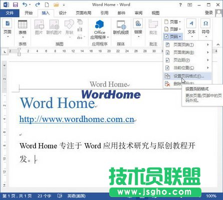 怎樣設(shè)置Word2013文檔的頁(yè)碼格式