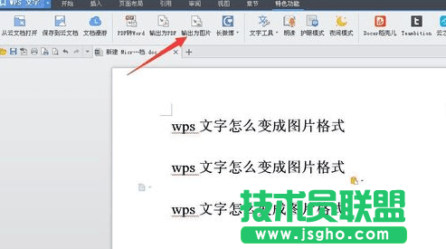 wps文字如何保存成圖片 wps文字保存成圖片的方法