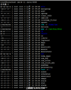 Linux查看進(jìn)程運(yùn)行的完整路徑