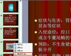 ppt結(jié)束語怎么弄