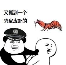 皮皮蝦表情包