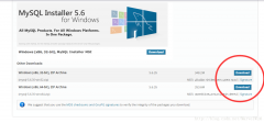 Win10 64位安裝MySQL5.6.35的詳細(xì)教程