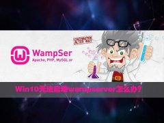 Win10無法啟動wampserver怎么辦