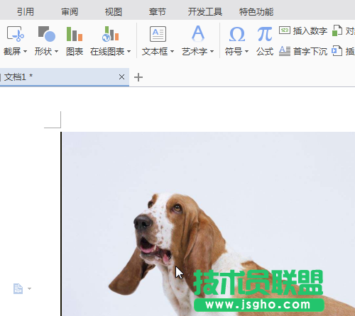 wps如何讓插入的圖片可以隨意移動(dòng) 三聯(lián)