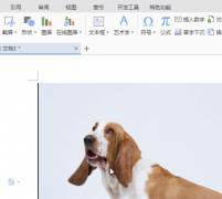 wps如何讓插入的圖片可以隨意移動(dòng)