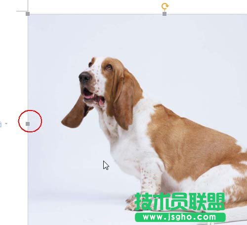 wps如何讓插入的圖片可以隨意移動(dòng)