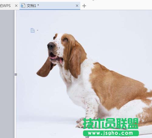 wps如何讓插入的圖片可以隨意移動(dòng)