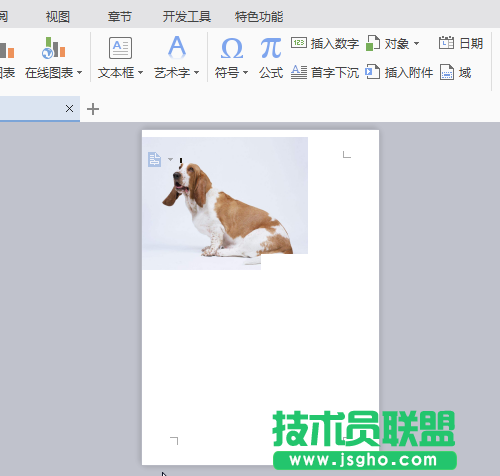 wps如何讓插入的圖片可以隨意移動(dòng)