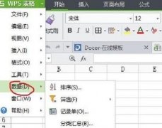 wps如何插入數(shù)據(jù)源
