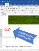 Word2016排版正文頁(yè)碼如何從1開始計(jì)數(shù)