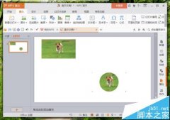 WPS中的圖片怎么改變形狀?