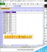 Excel中自動(dòng)求和不正確并顯示為0怎么辦？