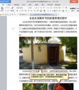 word文檔中的圖片怎么獲得原圖?
