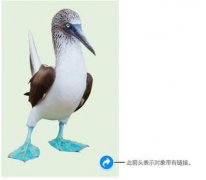Keynote怎么添加取消超鏈接