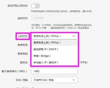 華為榮耀路由Pro設(shè)置后上不了網(wǎng)怎么解決