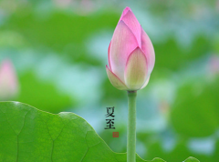 2016夏至是幾月幾日