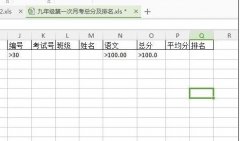 如何在wps表格里設置高級篩選