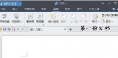wps文字中如何開啟多個(gè)窗口