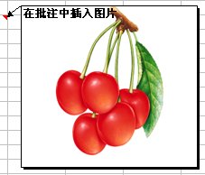 excel怎么打造個性的批注?