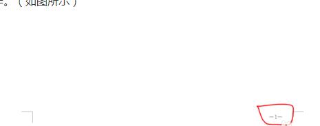 wps中怎么設(shè)置頁(yè)碼格式