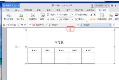 WPS文字怎樣把橫排設(shè)置為豎排顯示