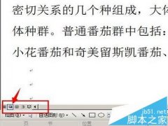 word中怎么插入gif動畫