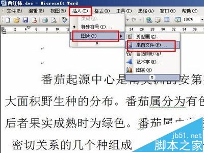 word中怎么插入gif動畫