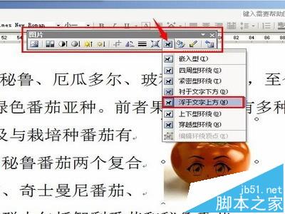 word中怎么插入gif動畫