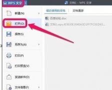 wps文字中如何查看文檔字?jǐn)?shù)