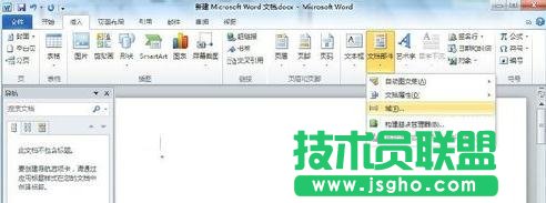 word中如何插入域