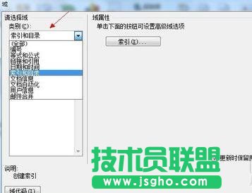 word中如何插入域