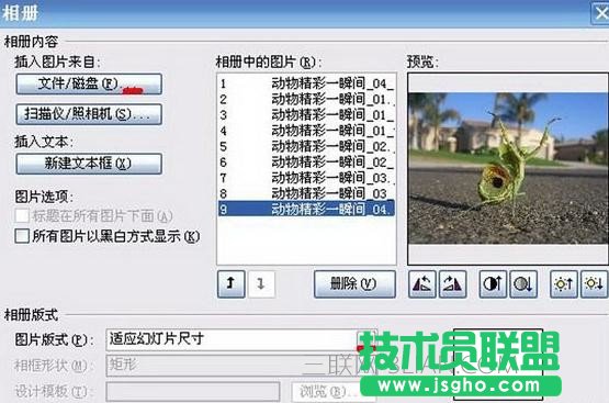 如何使用ppt制作電子相冊(cè)