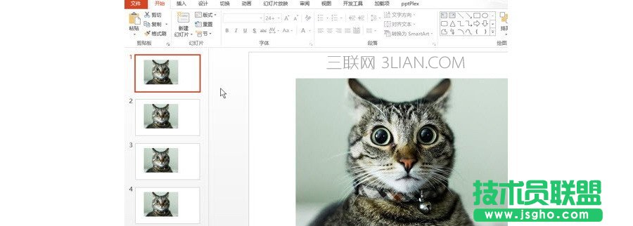 PPT制作技巧：如何將圖片應(yīng)用所有的PPT頁(yè)面？