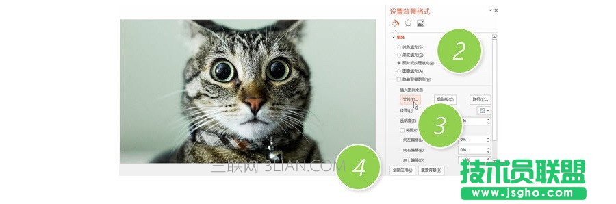 PPT制作技巧：如何將圖片應(yīng)用所有的PPT頁(yè)面？