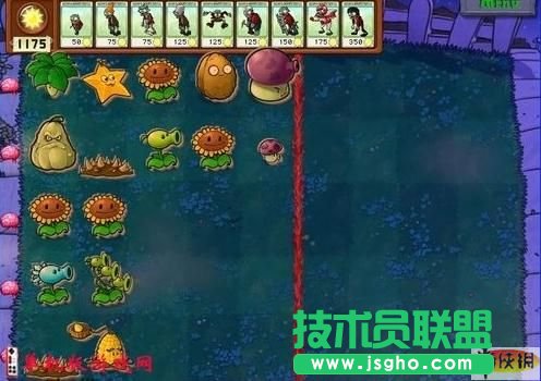 《植物大戰(zhàn)僵尸》新手教程及刷錢戰(zhàn)術(shù)