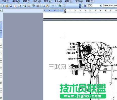 ppt無(wú)法顯示圖像解決方案