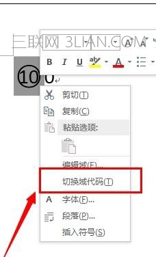 word中輸入帶圈100方法