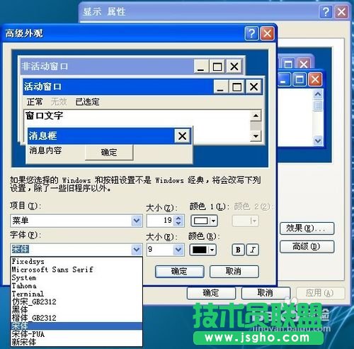 新蘿卜家園windows xp系統(tǒng)字體更改方法(11)