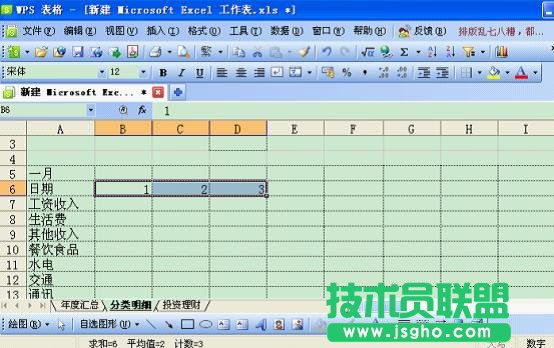 WPS表格打造個(gè)性化記賬本教程