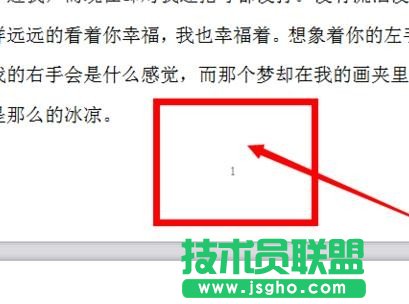 wps2016怎么設(shè)置頁碼格式
