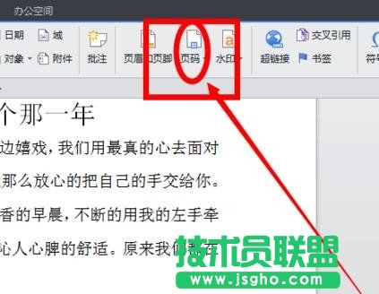 wps2016怎么設(shè)置頁碼格式