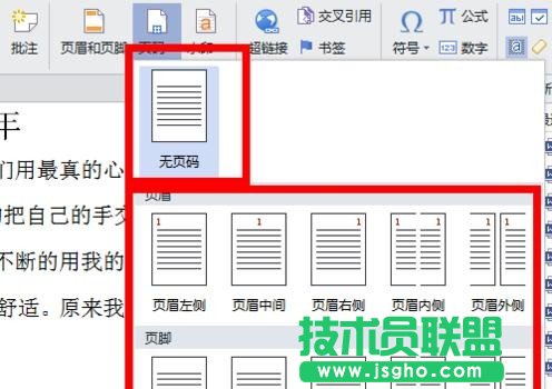 wps2016怎么設(shè)置頁碼格式