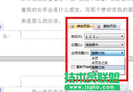 wps2016怎么設(shè)置頁碼格式