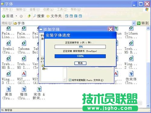深度技術(shù)WINXP系統(tǒng)安裝字體(8)