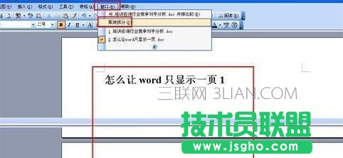 word只顯示一頁設(shè)置方法 三聯(lián)