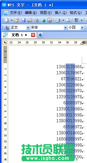 WPS文字把號碼中指定位數(shù)換成X教程