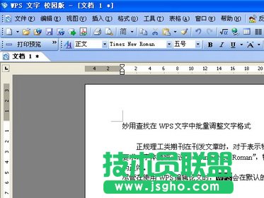 WPS文字如何批量調(diào)整文字格式   三聯(lián)